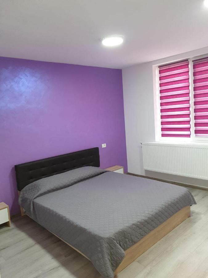 Apartament Negris Bîrlad Eksteriør billede